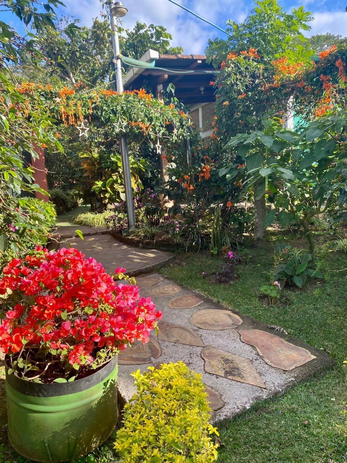 Villa Castillo de Ensueño Concepción de Ataco Exterior foto