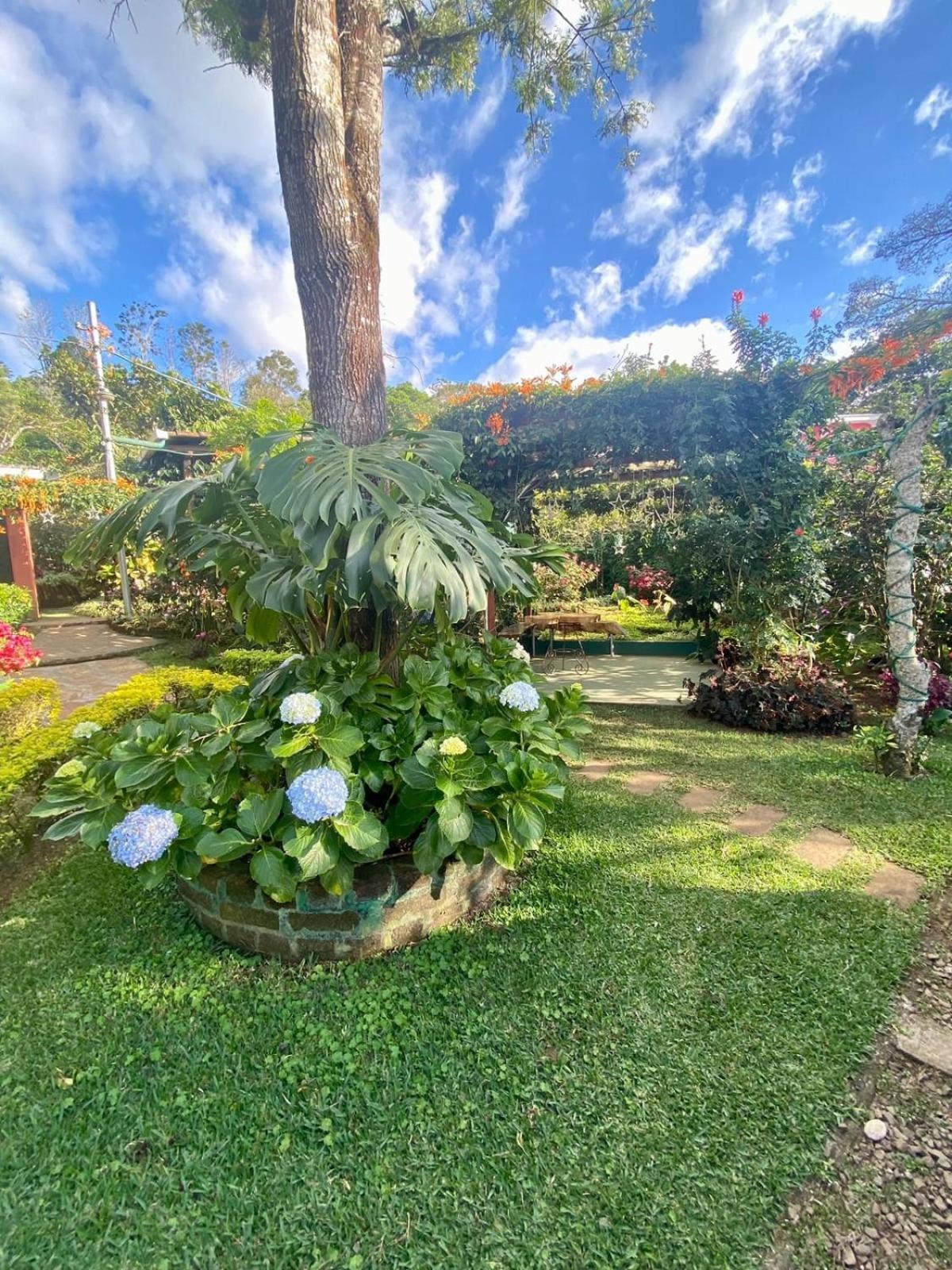 Villa Castillo de Ensueño Concepción de Ataco Exterior foto